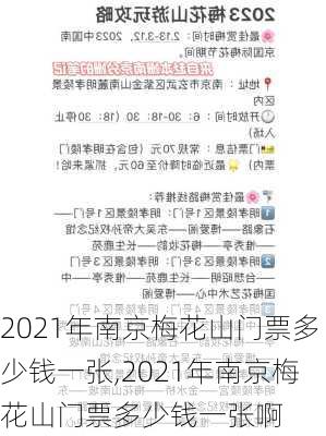 2021年南京梅花山门票多少钱一张,2021年南京梅花山门票多少钱一张啊