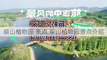 辰山植物园 景点,辰山植物园景点介绍