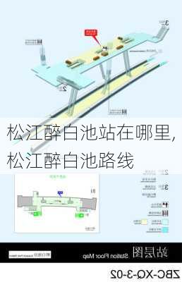 松江醉白池站在哪里,松江醉白池路线