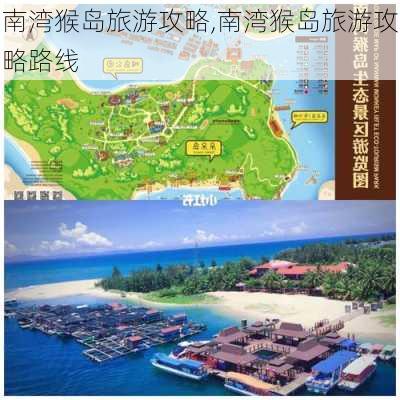 南湾猴岛旅游攻略,南湾猴岛旅游攻略路线