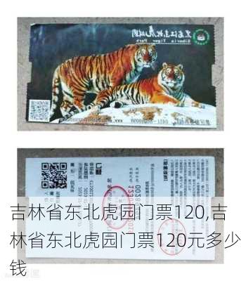 吉林省东北虎园门票120,吉林省东北虎园门票120元多少钱