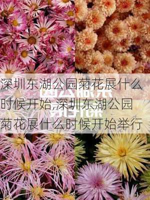 深圳东湖公园菊花展什么时候开始,深圳东湖公园菊花展什么时候开始举行