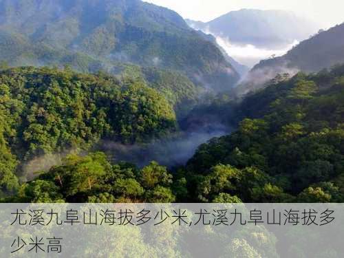 尤溪九阜山海拔多少米,尤溪九阜山海拔多少米高